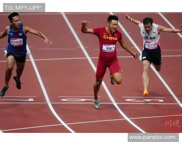 中国队强势包揽世界射击锦标赛男女全部项目金牌再创辉煌佳绩 中国队强势包揽世界射击锦标赛男女全部项目金牌再创辉煌佳绩