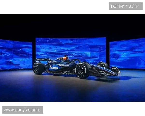 F1赛季车队排名回顾与车手表现解析及未来发展展望